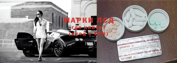 mdpv Бородино