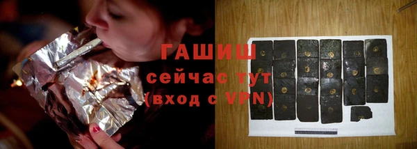 mdpv Бородино