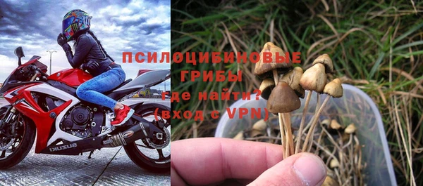 гидра Бугульма