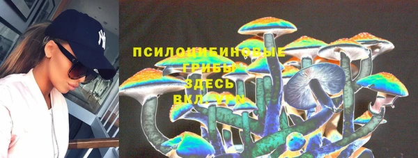 гидра Бугульма