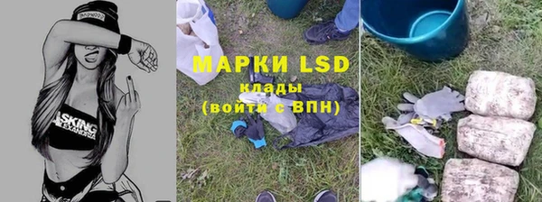 mdpv Бородино