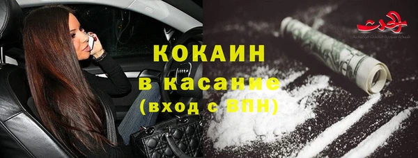 mdpv Бородино